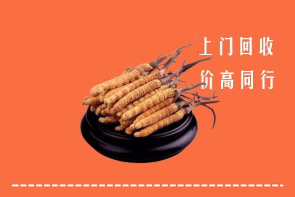 附近收购：祁阳县冬虫夏草回收多少钱每克