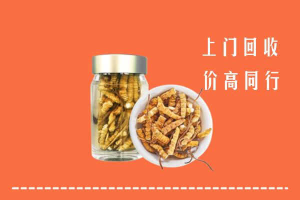 祁阳县回收冬虫夏草